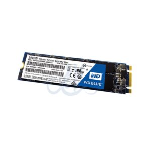 حافظه اس اس دی وسترن دیجیتال Blue 250GB M.2